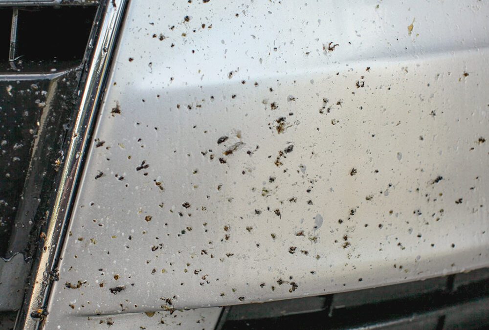 bugverwijdering auto