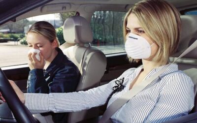 Muffe geur auto verwijderen – 5 bewezen tips voor een fris interieur | Luxury Wipe